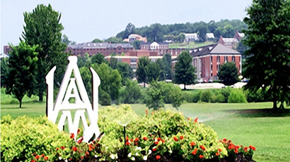 旧金山艺术大学