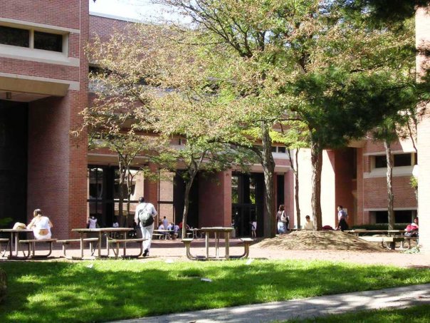 特拉华县社区大学