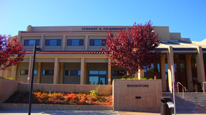 纽约州立大学环境科学与林业科学学院