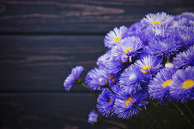 SAT考试重要的写作手法：Anecdote