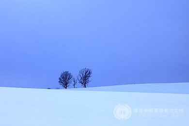 高分经验：A-Level经济的4大得分点总结