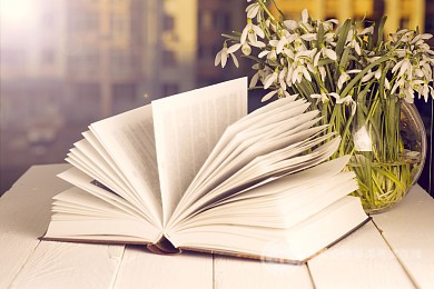 SAT冲刺必读：关于写作的考前建议