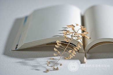 干货：A-level经济学学习方法