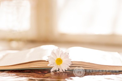 2019A-Level考试，你准备了吗？