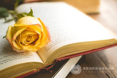 如何在短时间内扩充SAT单词量？