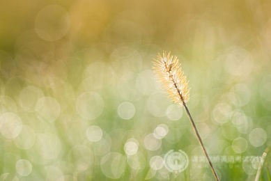 备考SAT阅读，这3类坏习惯必须改掉