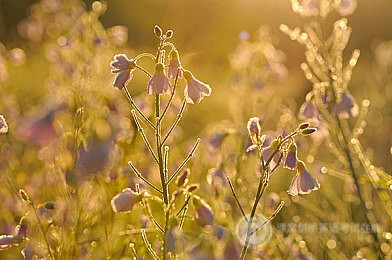 常识问题汇总：是否一定要考SAT2呢