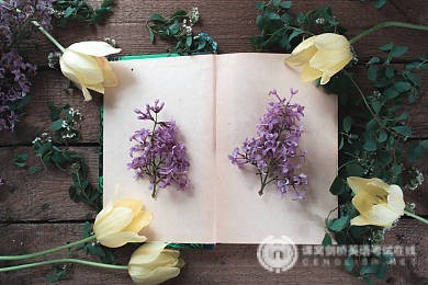 备考须知：A-level化学和国内高中化学的大不同