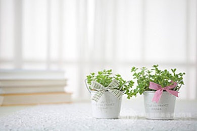 备考须知：A-level化学和国内高中化学的大不同