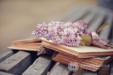 上海SAT培训：合适的阅读内容，美国高中阶段都在读什么？