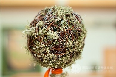 SAT语法有28个考点,它们都在考什么? SAT语法有28个考点,它们都在考什么?