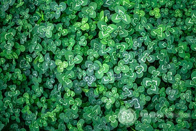 汇总：美国高校对于SAT成绩要求最高的前十名