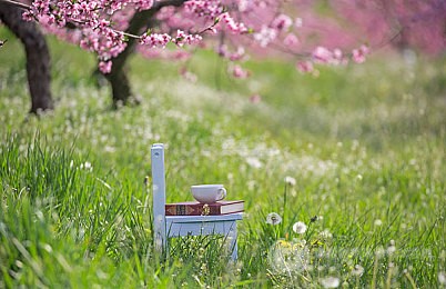 SAT拼分是什么？为什么大学支持拼分？