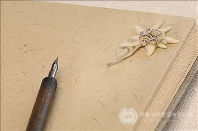 SAT文法易错点梳理，提分并不难