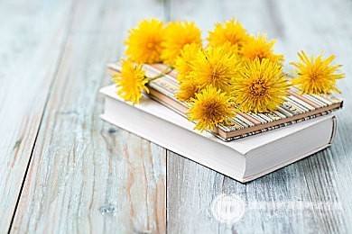 A-Level考试局：AQA又是什么？