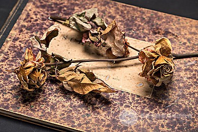 新SAT阅读的正确打开方式：什么是泛读