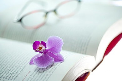 新SAT阅读的正确打开方式：什么是泛读