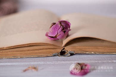 SAT阅读：你知道多少出题方向和题型?