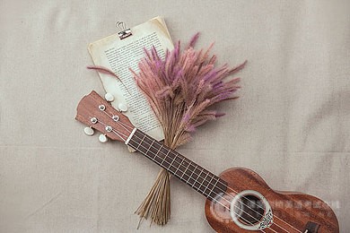 新SAT语法的4个变化改如何应对？