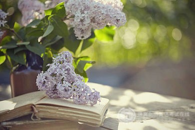 SAT阅读答题有哪些快速提分技巧？