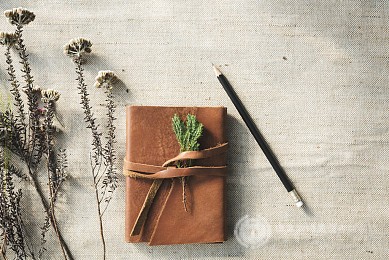 数据:A-Level成绩要求最高的英国大学 数据:A-Level成绩要求最高的英国大学