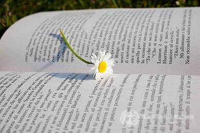 SAT数学考试，这些物品可一定要准备好