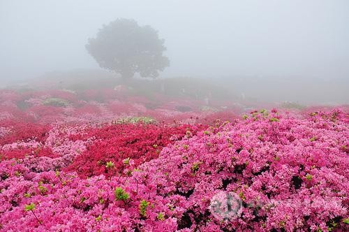 A-Level考前注意事项速度收藏