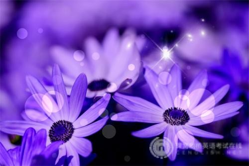 A-Level考试:澳大利亚热门专业 A-Level考试:澳大利亚热门专业