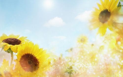 IB设计技术科目你了解多少？