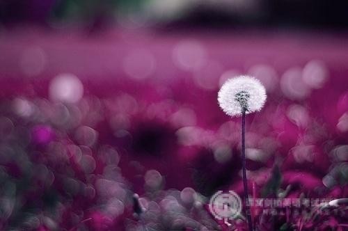 SAT数学考试：图表应用类题目读题技巧