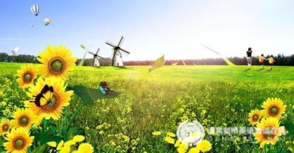 SAT词汇该怎样学习