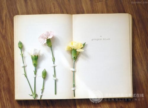 2021年IB中文大纲变化解析