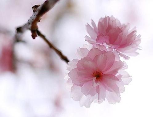 SAT写作考试前,你需要先列提纲