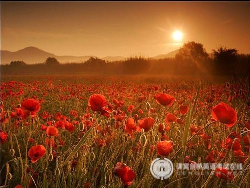 A-Level考试常见的数学知识点 A-Level考试常见的数学知识点