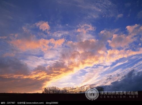 IB课程是什么,为何是含金量最高的国际高中课程