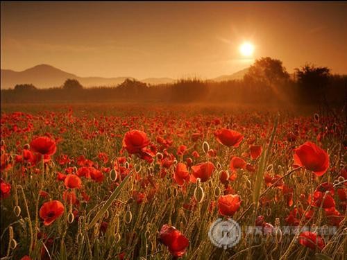 IB课程学习方法易进入的误区