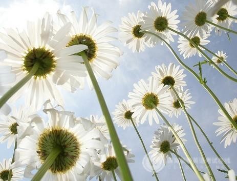 SAT语法考试常考的考点有哪些？