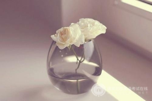 IB单词背诵有哪些禁忌？