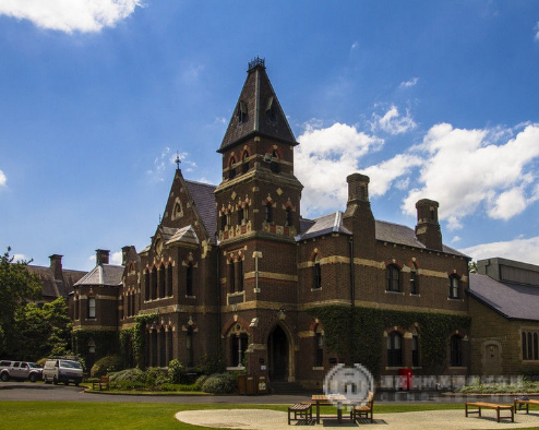 IB课程与AP课程哪个更难