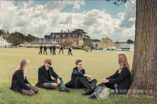 SAT考试怎样查询结果