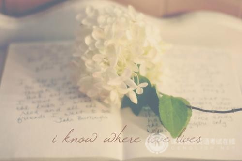 IB地理教学大纲解析