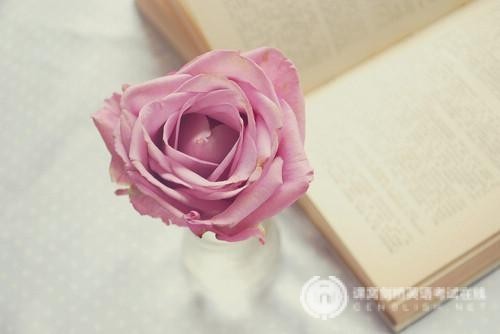 SAT数学考试易错点归纳