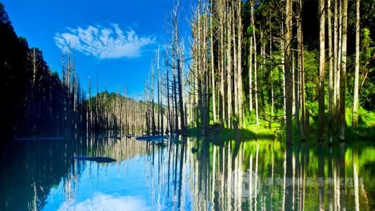 SAT数学术语：你知道function是什么意思吗?