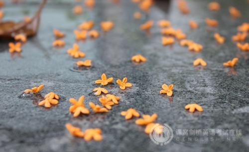 Alevel备考：英国本科留学哪些专业最受欢迎