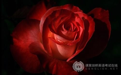 SAT语法考试解题技巧