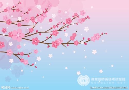 Alevel数学和国内高考数学有哪几方面的区别？