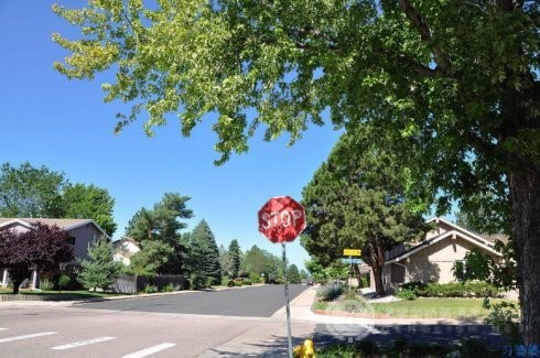 IB经济课程与AP、A Level经济学有什么区别