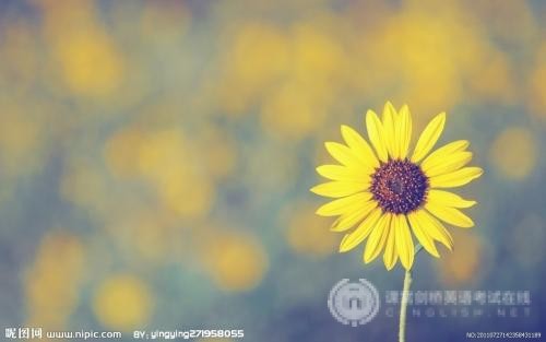 将ALevel学科学习演化成为学科翻译