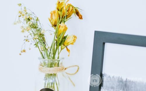 Alevel化学考试:化学理论,元素化学和有机化学三大板块 Alevel化学考试:化学理论,元素化学和有机化学三大板块