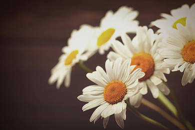 SAT数学如何提速？三个备考要点